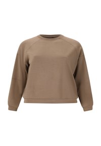 Brun tröja i sweatmaterial, avslappnad passform, rund halsringning, långa raglanärmar, slät textur, minimalistisk design, utan mönster eller detaljer.