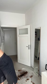 Celovarni ogledalo s tanekim kovinskim okvirjem, bela vrata s pestrim steklom, sivi zidovi in svetlo obložen tla z rjavim preprogo.