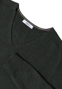 Dunkelgrüner V-Ausschnitt-Pullover aus weichem Material, mit gerippten Bündchen und einem Etikett mit der Aufschrift "CECIL". Glatte Textur mit einem lässigen Design.