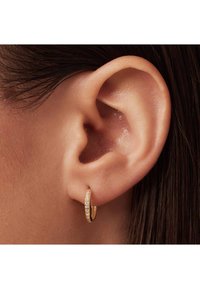 Gold hoop earring with a smooth, polished finish and a section featuring small clear gems. Worn in a pierced ear, showcasing its circular shape.