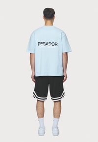 Pegador ALESO TEE - Apdrukāts T-krekls - washed baby blue