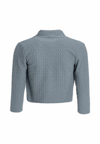 Veste courte texturée bleu clair à manches longues avec un col montant, vue de dos sur fond blanc.