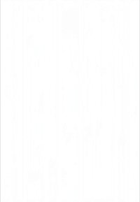 Tom vit bakgrund utan synliga föremål eller detaljer. Inga mönster eller texturer syns.