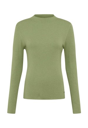 Rippstrickpullover in hellgrün, mit hohem Kragen und langen Ärmeln. Das Material hat eine weiche Textur, ist figurbetont und hat keine sichtbaren Beschläge.