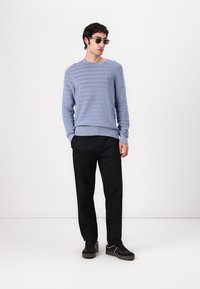 Pulover cu dungi albastre deschise, cu decolteu rotund, asortat cu pantaloni negri și adidași negri. Modelul poartă ochelari de soare.