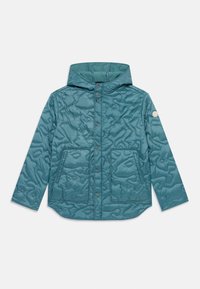 Selected, silver pine