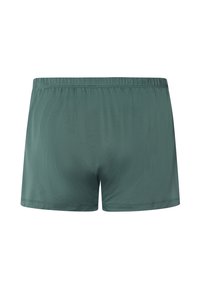 Gröna shorts med resår i midjan, gjorda av lättviktsmaterial. De har en slät yta och en enkel, odekorerad design med rena kanter.