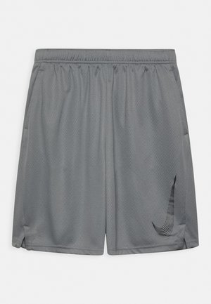 Sports shorts - smoke grey/(black)