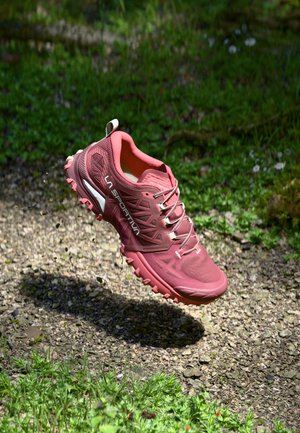 BUSHIDO III WOMAN GTX - Pārgājienu apavi - redwood/rosebay