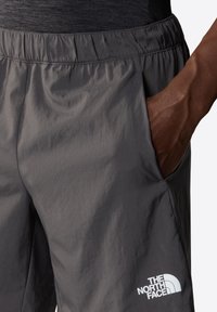 The North Face MA GRAPHIC - Shorts - anthracite grey tnf bla