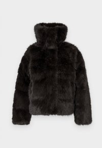 STEILIA - Down jacket - brown