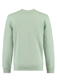 Felpa verde menta, design a girocollo, maniche lunghe, tessuto morbido, polsini e orlo a costine, senza loghi o motivi visibili sulla schiena.