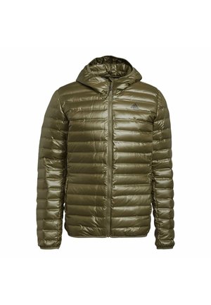 VARILITE HOODED DOWN - Winterjacke - focus olive