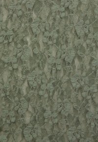 Light green lace fabric featuring a floral pattern with textured details and an intricate design. Sheer and delicate appearance.