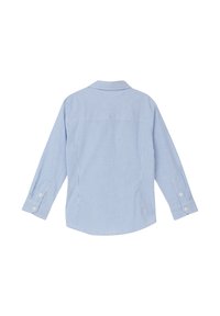 Lichtblauw gestreept shirt met lange mouwen, knoopmanchetten, een klassieke kraag en een gladde stoftextuur. Achteraanzicht.