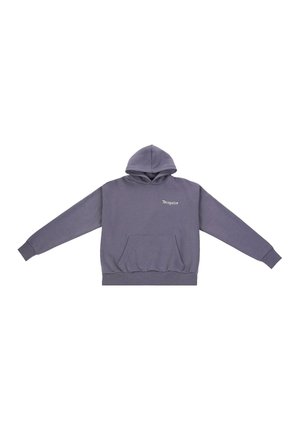 Grauer Baumwoll-Hoodie mit einer Kängurutasche, geripptem Saum und Bündchen sowie einem kleinen weißen Logo auf der Brust. Glatte Stofftextur.