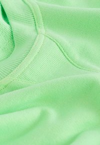 Next RAW DETAIL CREW NECK  - Felpa - apple green