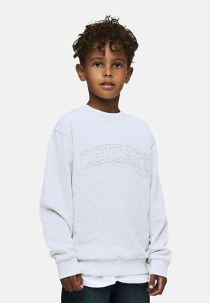 Felpa grigia con la scritta "CHICAGO" ricamata in un colore contrastante. Presenta un collo rotondo e una vestibilità rilassata. Indossata sopra una camicia bianca.