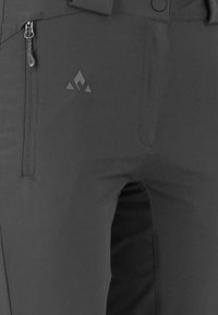 Whistler Friluftsbyxor -  asphalt