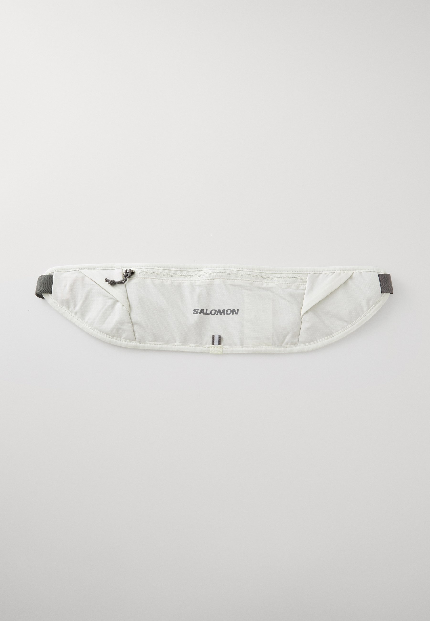 Salomon PULSE SLING BELT UNISEX Bum bag icicle/castelrock/mint