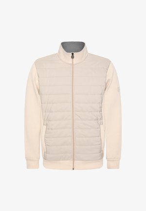 Helebeež värvi lukuga jakk, millel on tikanditega esiosa ja kootud varrukad. Omadused: kõrge kaelus ja kaks küljetaskut. Pehme tekstuur.