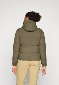 Patagonia DOWNDRIFT - Jakna ispunjena paperjem - basin green