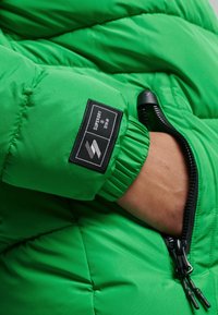 Superdry & Co Giacca invernale - green