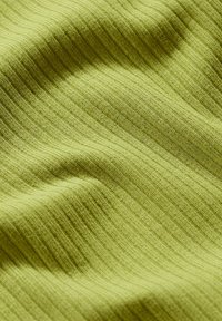 Seasalt Cornwall HAZEL - Langarmshirt - green dark citron