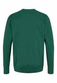 U.S. Polo Assn. ADAIR - Pulover - rain forest