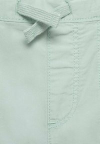 Shorts vert clair avec une taille élastique, texture lisse et détails de couture subtils le long des coutures et des poches.