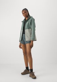 Jack Wolfskin WEILTAL - Veste Hardshell - hedge green