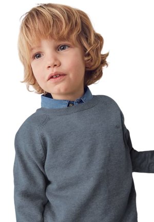 Maglione grigio con collo rotondo, caratterizzato da una finitura testurizzata. Indossato sopra una camicia azzurro chiaro con colletto, con un marchio discreto sul petto.