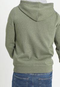 Grüner Baumwollhoodie mit einer Kordelzugkapuze, gerippten Ärmelbündchen und Saum sowie einer weich gebürsteten Textur, von hinten gezeigt mit einem hellgrauen Innenfutter.