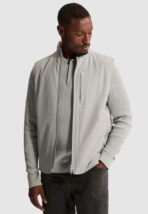Homme portant un gilet matelassé gris clair sur un pull à manches longues à motifs, regardant vers le bas avec une main dans la poche d'un pantalon sombre.