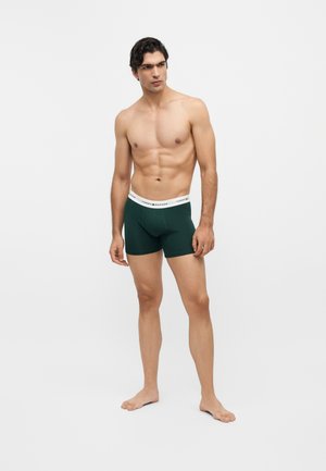 Tommy Hilfiger, BOXER BRIEF SIGNATURE 5 PACK  - Μποξεράκια σε στενή γραμμή - multi-coloured