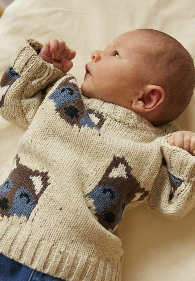 Maglioncino per neonati in crema con motivi di animali blu e marroni, polsini a coste e colletto alto. Tessuto morbido, design informale.