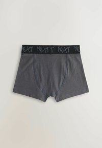 Next 5 PACK  - Onderbroeken - neutral multi colour