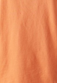 Pieces PCRIA SOLID TEE - T-shirts - nasturtium