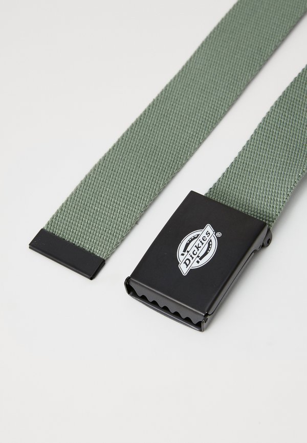 ORCUTT UNISEX - Belt - sea spray3