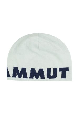 LOGO - Bonnet - silver sage-marine