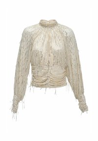 Beige durchsichtige Bluse mit langen Ärmeln, hohem Kragen, geraffter Taille und vertikalen silbernen Paillettenverzierungen.