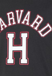 Black fabric with bold white and red-outlined letters spelling "HARVARD" arched above a large centered "H".