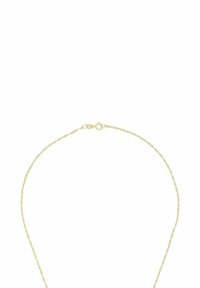 Collana a catena dorata con un design delicato, dotata di chiusura a granchio e anelli sottili. Texture liscia, leggera.