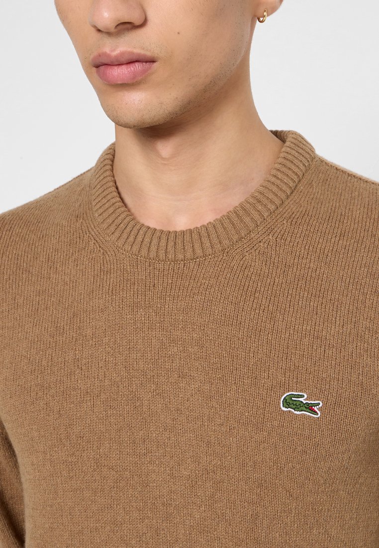 Maglione marrone in maglia con colletto a girocollo a costine, dotato di un piccolo logo di coccodrillo verde e rosso sul lato sinistro del petto. Texture morbida e design aderente.