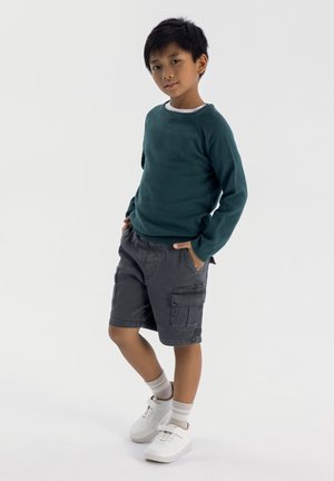 CREW NECK  - Jumper - green