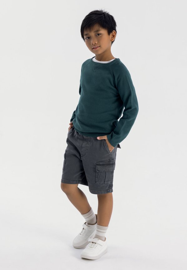 CREW NECK  - Strickpullover