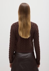 Bruine kabelgebreide trui met een cropped ontwerp en lange mouwen, gecombineerd met een donker leren rok, gezien vanaf de achterkant.