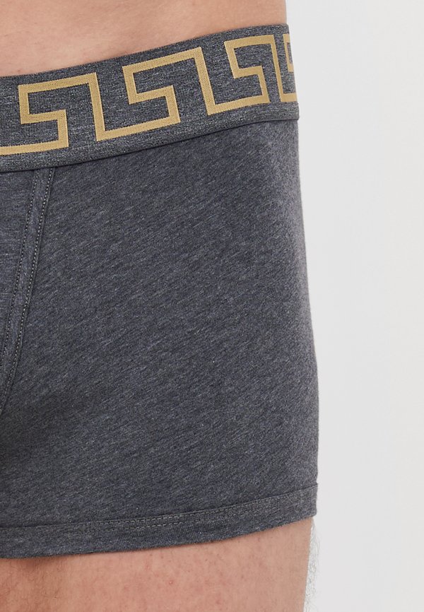 TRUNK TOPEKA NEW LOGO - Trunks4