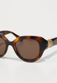 Schildpatt-Sonnenbrille mit großen ovalen Gläsern, braun getöntem Glas und einem goldenen geometrischen Akzent an dem Bügel. Glatte, glänzende Oberfläche.