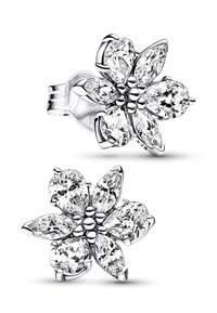 Pandora HERBARIUM CLUSTER  - Uhani - silver coloured